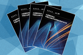 《从蓝图到伟业：中国企业数字化转型的思考与行动》