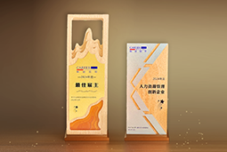 DCBOX小金库官网国际一举斩获“2024年度中国区最佳雇主”等多项大奖